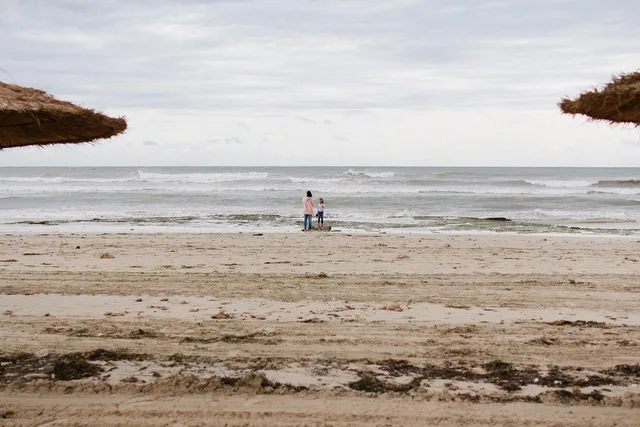 girl, mother, djerba, tunisia, island, beach, sea, water, sand, coast, landscape, nature, vacation, travel, tourism, happy mothers day, holiday, journey, sky, mom, mum, family. Reviewing a parenting creator dashboard: two totals, three IDs, one payment