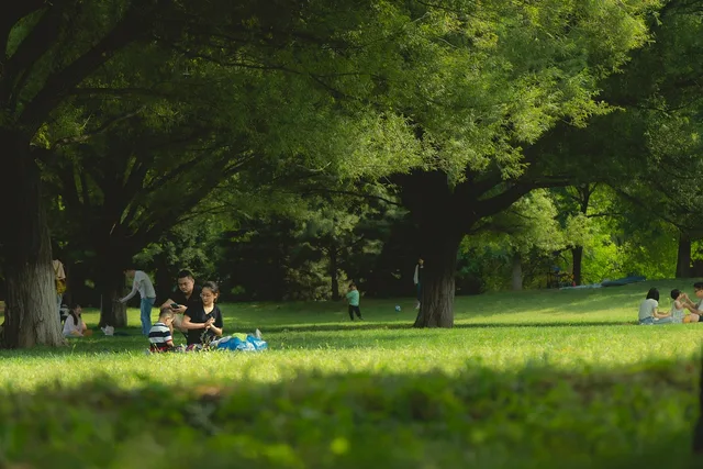 people, park, picnic, grass, asian, asian families, asian people, trees, foliage, undergrowth, families, leisure, nature, landscape, outdoors, picnic, picnic, picnic, picnic, picnic. Parenting creators software selection: a pass/fail method